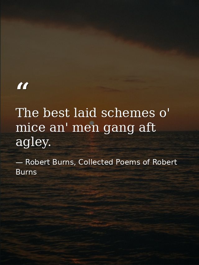 The best laid schemes o' mice an' men gang aft agley. — Robert Burns, Collected Poems of Robert Burns