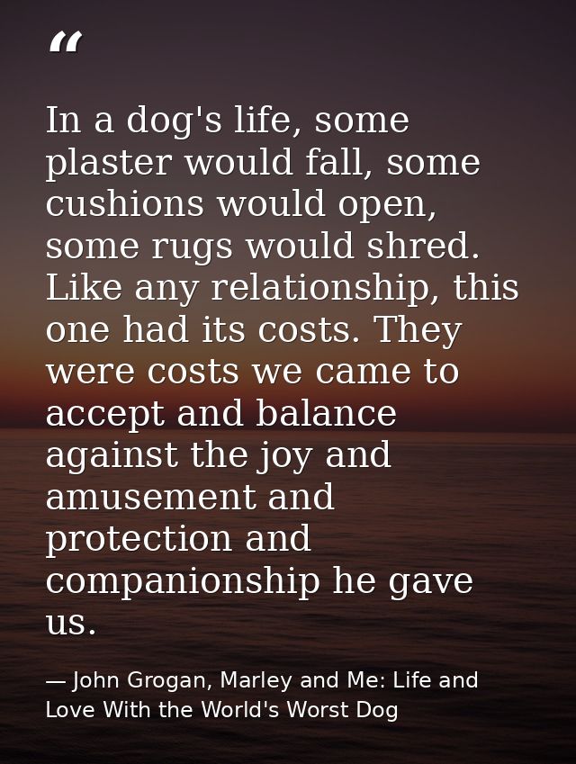 In a dog's life, some plaster would fall, some cushions would open, some rugs would shred. Like any relationship, this o — John Grogan, Marley and Me: Life and Love With the World's Worst Dog