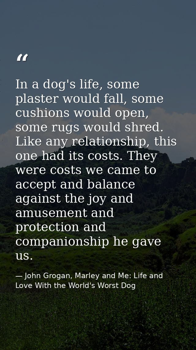 In a dog's life, some plaster would fall, some cushions would open, some rugs would shred. Like any relationship, this o — John Grogan, Marley and Me: Life and Love With the World's Worst Dog