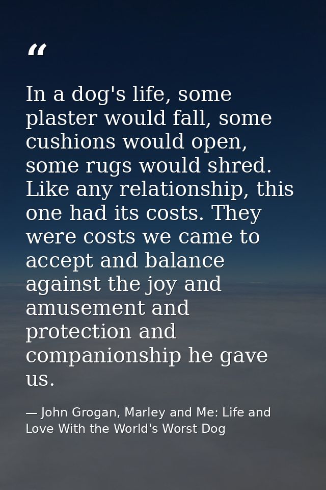 In a dog's life, some plaster would fall, some cushions would open, some rugs would shred. Like any relationship, this o — John Grogan, Marley and Me: Life and Love With the World's Worst Dog