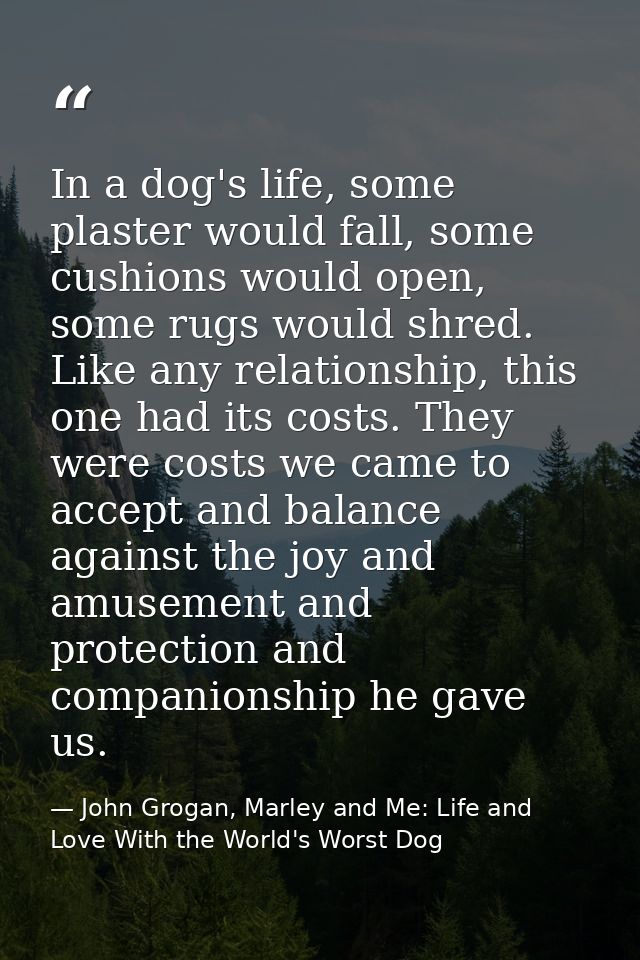 In a dog's life, some plaster would fall, some cushions would open, some rugs would shred. Like any relationship, this o — John Grogan, Marley and Me: Life and Love With the World's Worst Dog