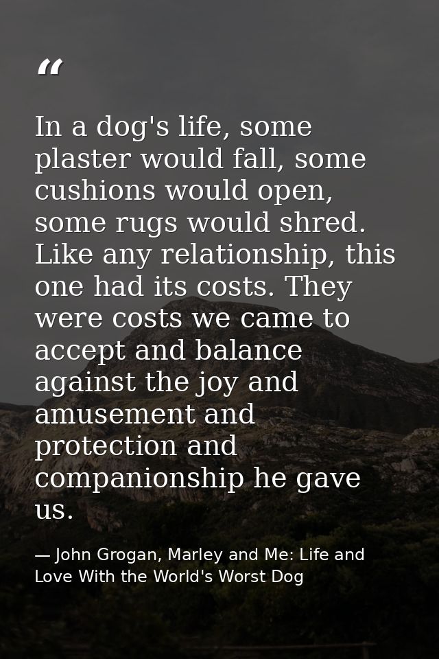 In a dog's life, some plaster would fall, some cushions would open, some rugs would shred. Like any relationship, this o — John Grogan, Marley and Me: Life and Love With the World's Worst Dog
