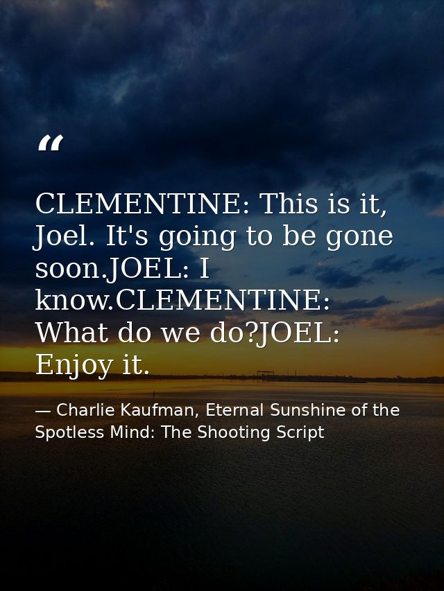 CLEMENTINE: This is it, Joel. It's going to be gone soon.JOEL: I know.CLEMENTINE: What do we do?JOEL: Enjoy it. — Charlie Kaufman, Eternal Sunshine of the Spotless Mind: The Shooting Script