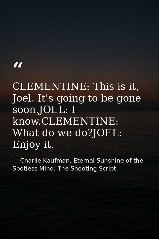 CLEMENTINE: This is it, Joel. It's going to be gone soon.JOEL: I know.CLEMENTINE: What do we do?JOEL: Enjoy it. — Charlie Kaufman, Eternal Sunshine of the Spotless Mind: The Shooting Script