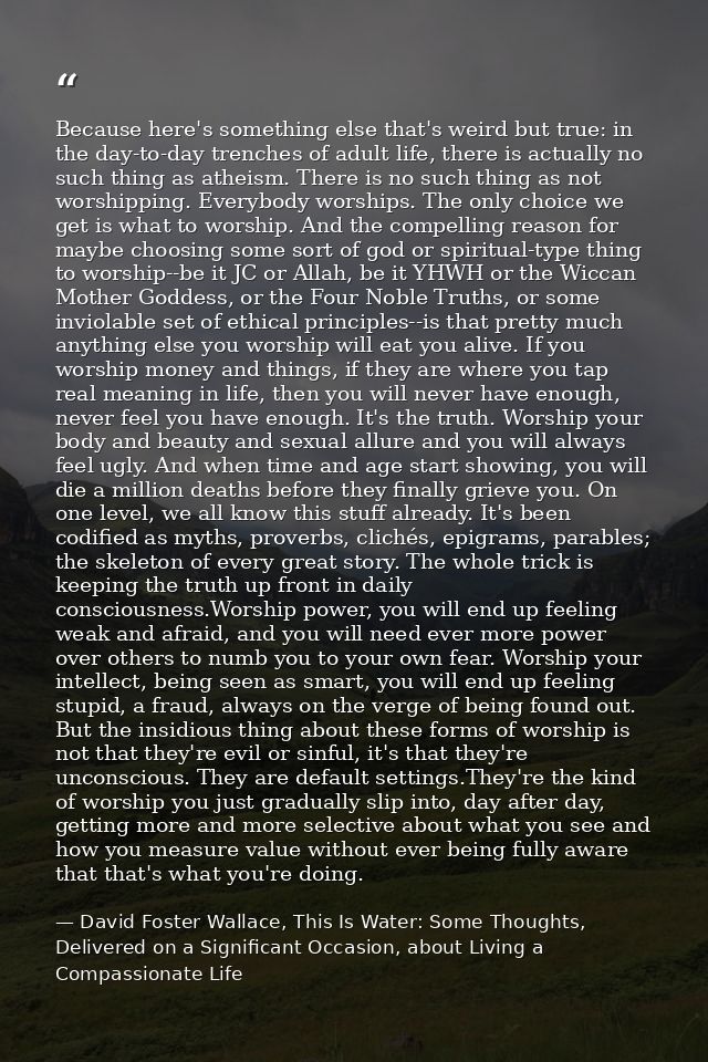 Because here's something else that's weird but true: in the day-to-day trenches of adult life, there is actually no such — David Foster Wallace, This Is Water: Some Thoughts, Delivered on a Significant Occasion, about Living a Compassionate Life