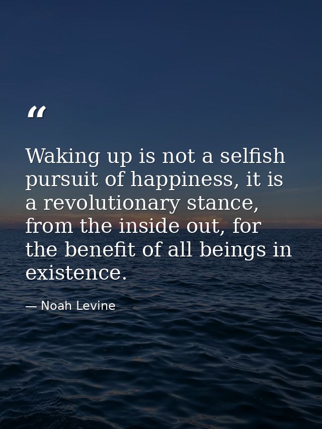 Waking up is not a selfish pursuit of happiness, it is a revolutionary stance, from the inside out, for the benefit of a — Noah Levine