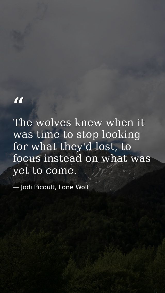 The wolves knew when it was time to stop looking for what they'd lost, to focus instead on what was yet to come. — Jodi Picoult, Lone Wolf