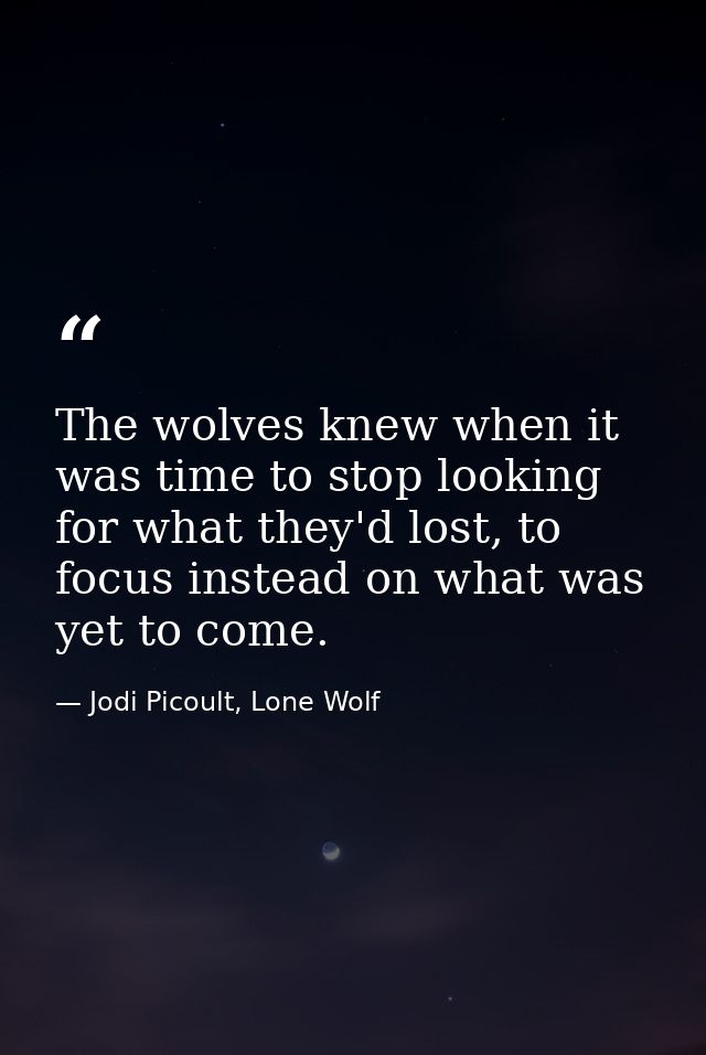 The wolves knew when it was time to stop looking for what they'd lost, to focus instead on what was yet to come. — Jodi Picoult, Lone Wolf