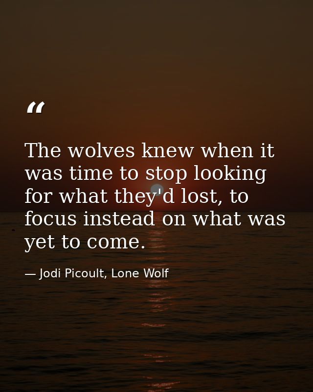 The wolves knew when it was time to stop looking for what they'd lost, to focus instead on what was yet to come. — Jodi Picoult, Lone Wolf