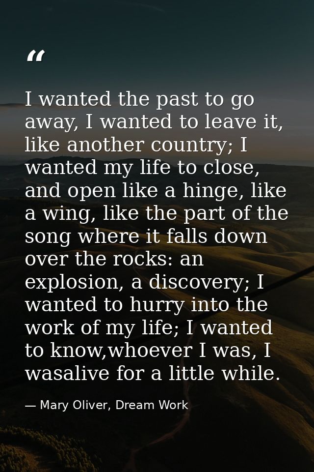 I wanted the past to go away, I wanted to leave it, like another country; I wanted my life to close, and open like a hin — Mary Oliver, Dream Work