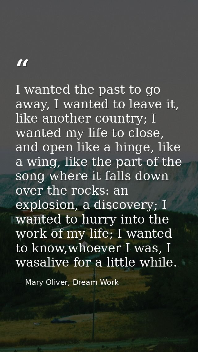 I wanted the past to go away, I wanted to leave it, like another country; I wanted my life to close, and open like a hin — Mary Oliver, Dream Work