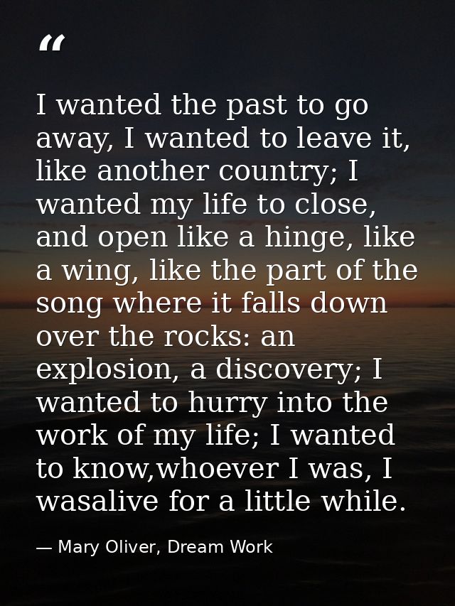 I wanted the past to go away, I wanted to leave it, like another country; I wanted my life to close, and open like a hin — Mary Oliver, Dream Work