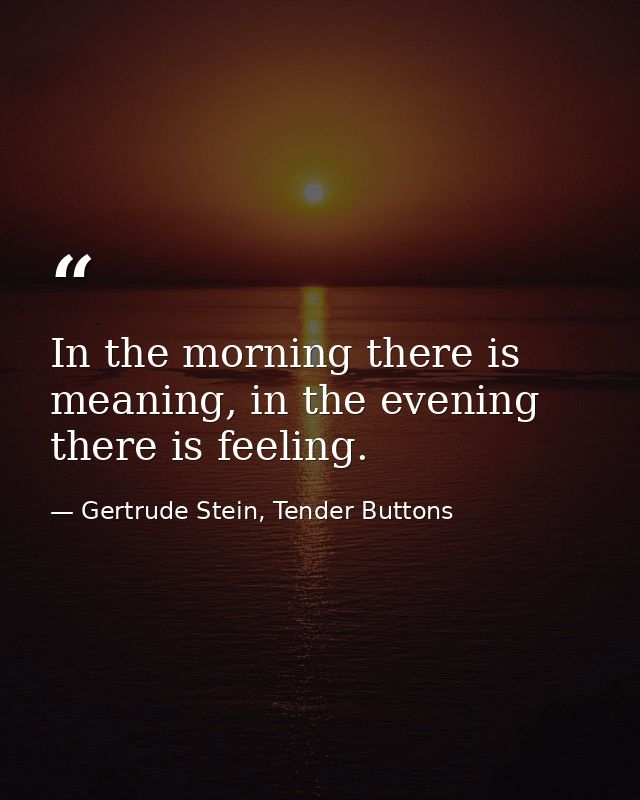 In the morning there is meaning, in the evening there is feeling. — Gertrude Stein, Tender Buttons