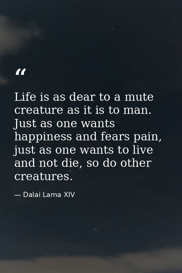 Life is as dear to a mute creature as it is to man. Just as one wants happiness and fears pain, just as one wants to liv — Dalai Lama XIV