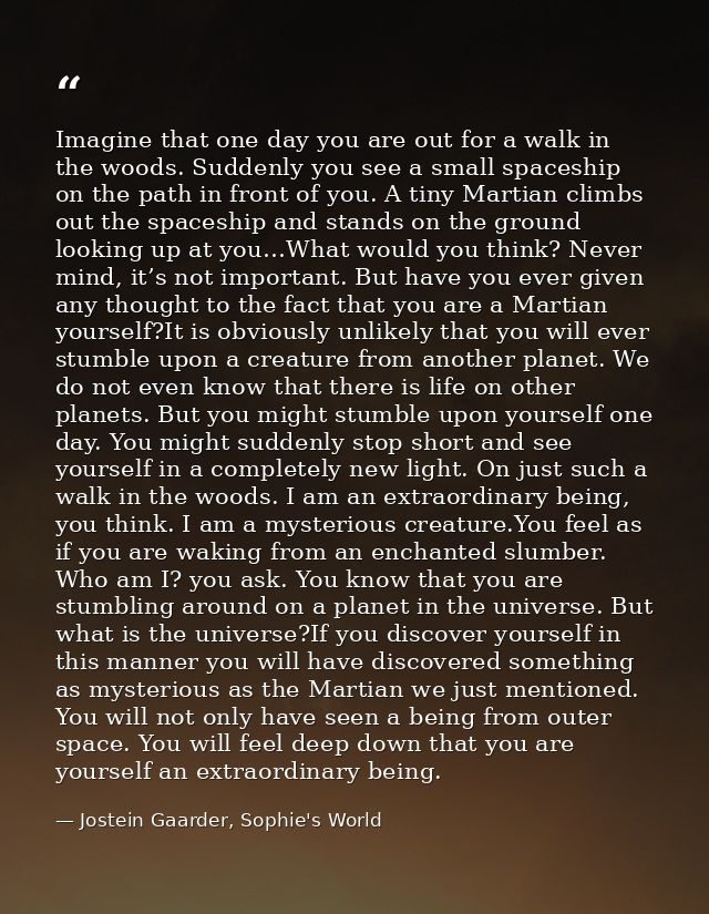 Imagine that one day you are out for a walk in the woods. Suddenly you see a small spaceship on the path in front of you — Jostein Gaarder, Sophie's World