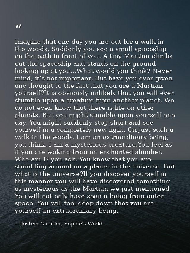 Imagine that one day you are out for a walk in the woods. Suddenly you see a small spaceship on the path in front of you — Jostein Gaarder, Sophie's World