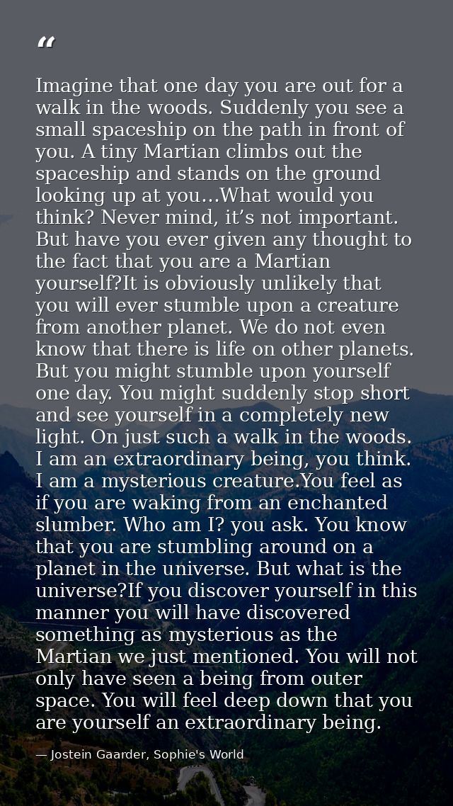 Imagine that one day you are out for a walk in the woods. Suddenly you see a small spaceship on the path in front of you — Jostein Gaarder, Sophie's World