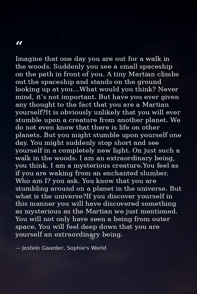 Imagine that one day you are out for a walk in the woods. Suddenly you see a small spaceship on the path in front of you — Jostein Gaarder, Sophie's World