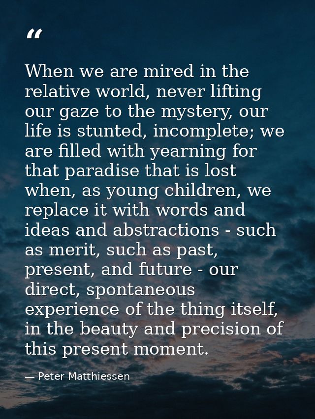 When we are mired in the relative world, never lifting our gaze to the mystery, our life is stunted, incomplete; we are  — Peter Matthiessen