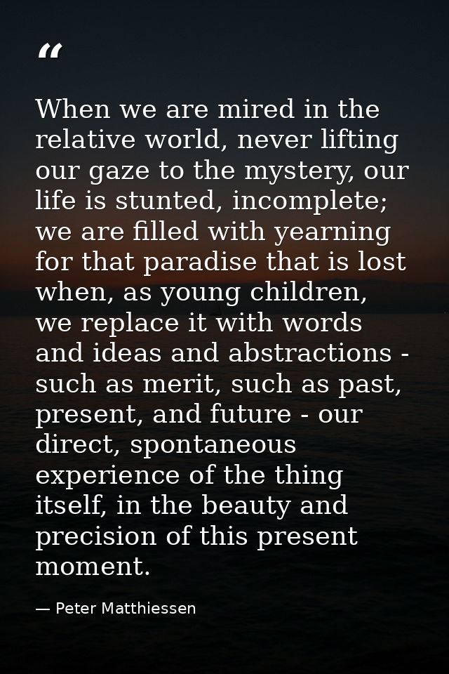 When we are mired in the relative world, never lifting our gaze to the mystery, our life is stunted, incomplete; we are  — Peter Matthiessen