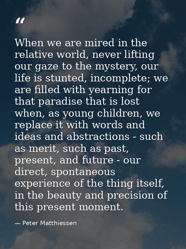 When we are mired in the relative world, never lifting our gaze to the mystery, our life is stunted, incomplete; we are  — Peter Matthiessen