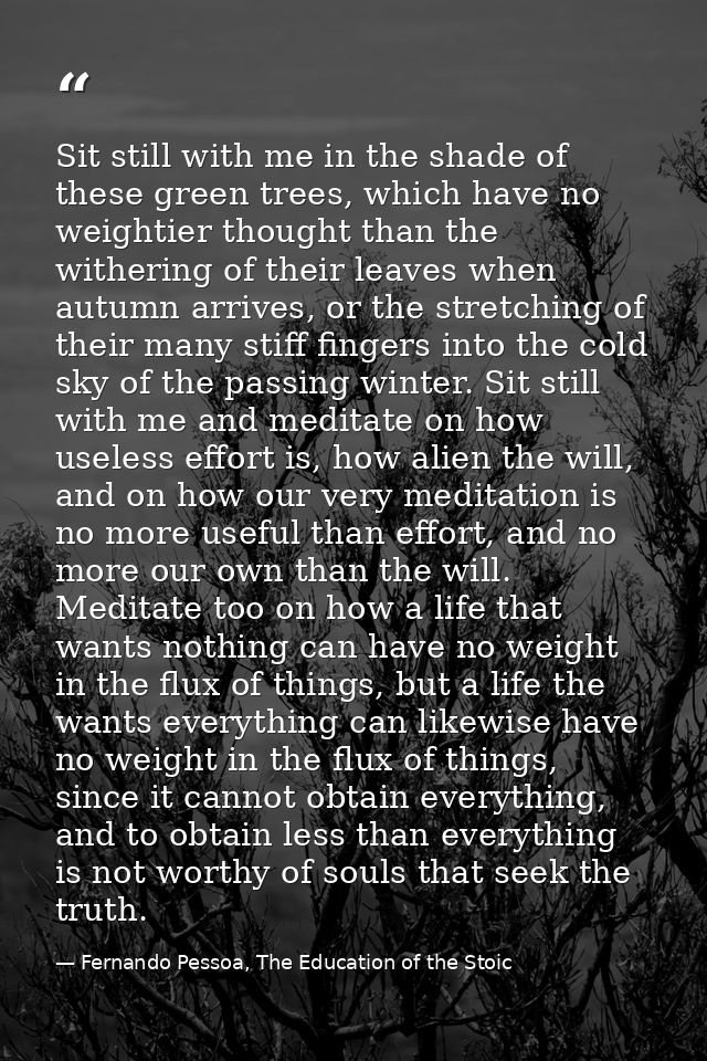 Sit still with me in the shade of these green trees, which have no weightier thought than the withering of their leaves  — Fernando Pessoa, The Education of the Stoic