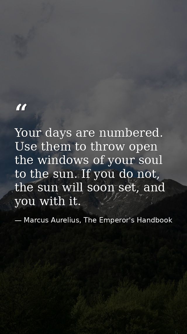Your days are numbered. Use them to throw open the windows of your soul to the sun. If you do not, the sun will soon set — Marcus Aurelius, The Emperor's Handbook