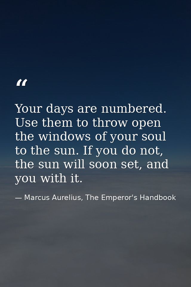 Your days are numbered. Use them to throw open the windows of your soul to the sun. If you do not, the sun will soon set — Marcus Aurelius, The Emperor's Handbook