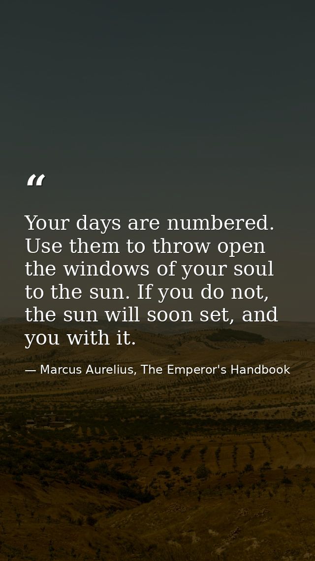 Your days are numbered. Use them to throw open the windows of your soul to the sun. If you do not, the sun will soon set — Marcus Aurelius, The Emperor's Handbook