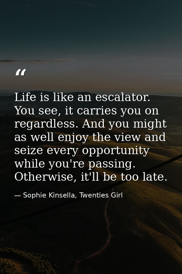 Life is like an escalator. You see, it carries you on regardless. And you might as well enjoy the view and seize every o — Sophie Kinsella, Twenties Girl