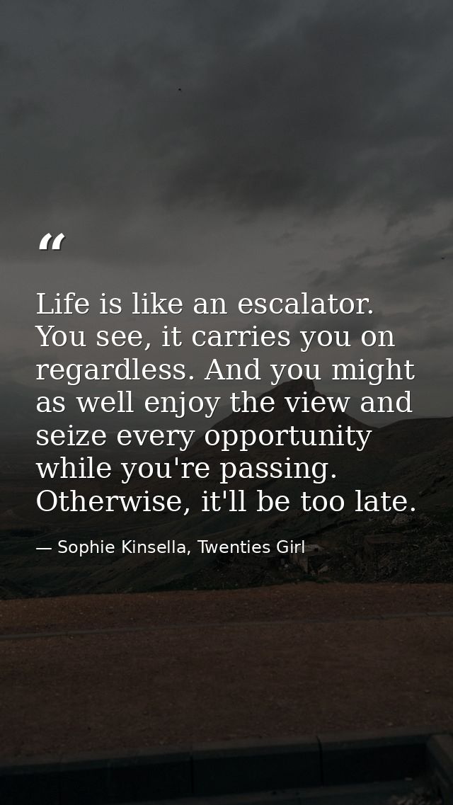 Life is like an escalator. You see, it carries you on regardless. And you might as well enjoy the view and seize every o — Sophie Kinsella, Twenties Girl