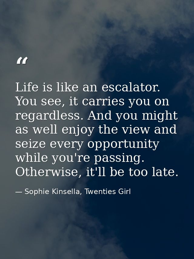 Life is like an escalator. You see, it carries you on regardless. And you might as well enjoy the view and seize every o — Sophie Kinsella, Twenties Girl