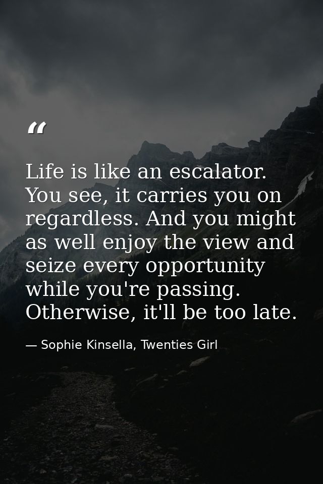 Life is like an escalator. You see, it carries you on regardless. And you might as well enjoy the view and seize every o — Sophie Kinsella, Twenties Girl
