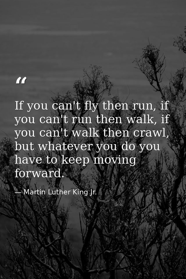 If you can't fly then run, if you can't run then walk, if you can't walk then crawl, but whatever you do you have to kee — Martin Luther King Jr.