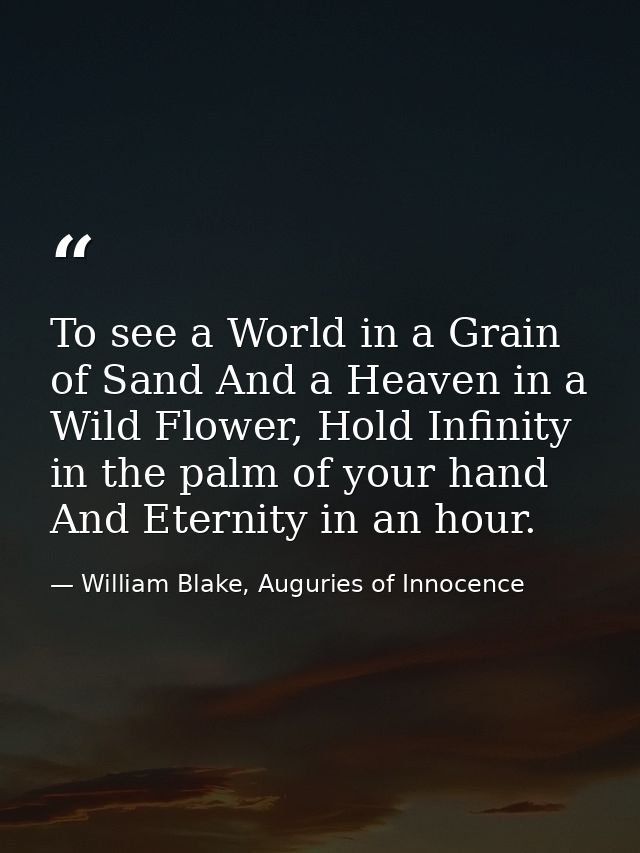 To see a World in a Grain of Sand And a Heaven in a Wild Flower, Hold Infinity in the palm of your hand And Eternity in  — William Blake, Auguries of Innocence