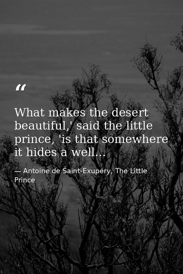 What makes the desert beautiful,' said the little prince, 'is that somewhere it hides a well... — Antoine de Saint-Exupéry, The Little Prince