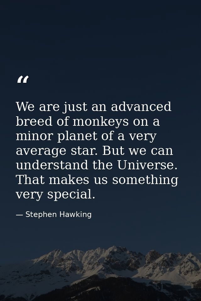 We are just an advanced breed of monkeys on a minor planet of a very average star. But we can understand the Universe. T — Stephen Hawking