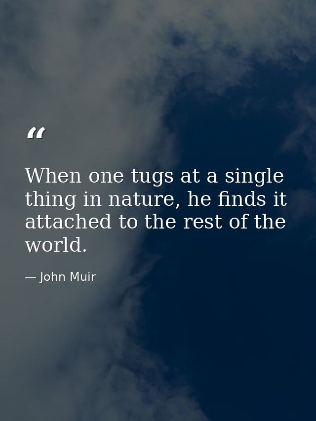 When one tugs at a single thing in nature, he finds it attached to the rest of the world. — John Muir