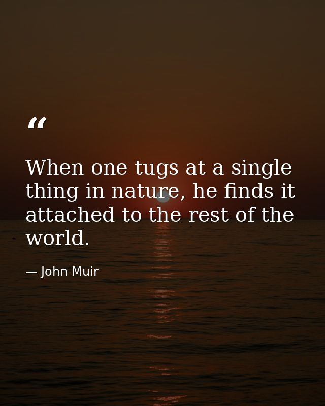 When one tugs at a single thing in nature, he finds it attached to the rest of the world. — John Muir