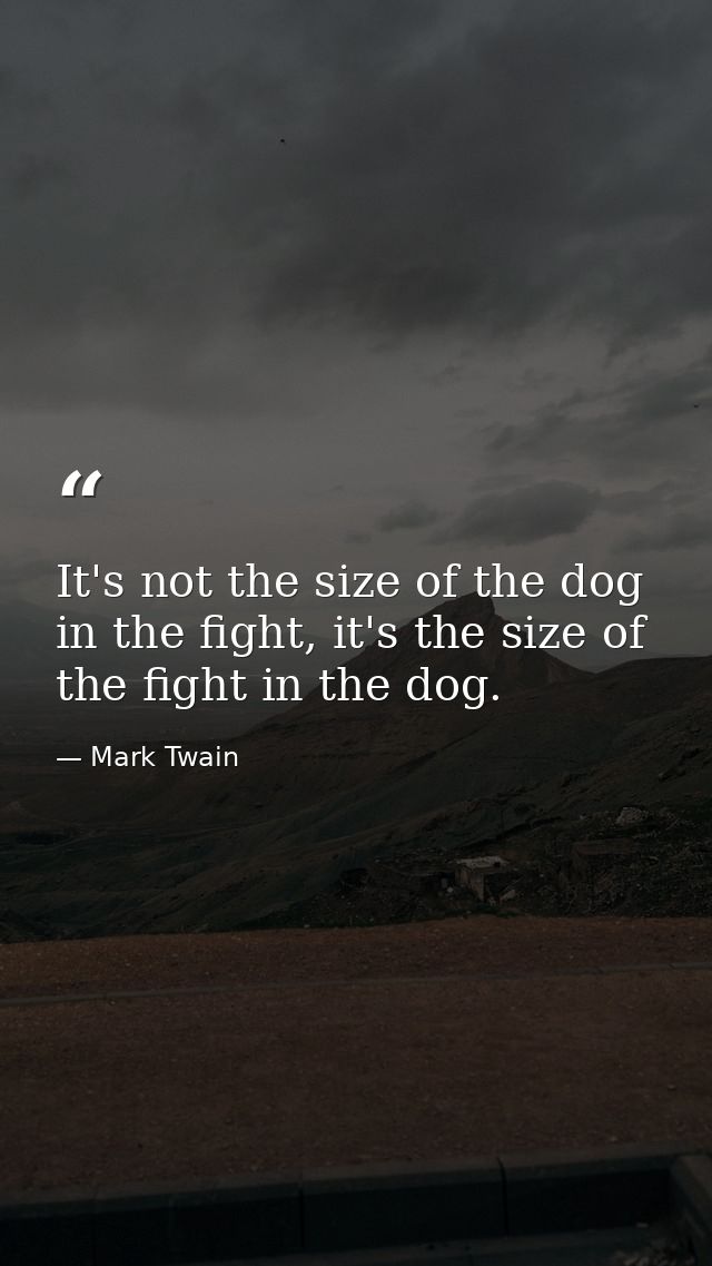 It's not the size of the dog in the fight, it's the size of the fight in the dog. — Mark Twain