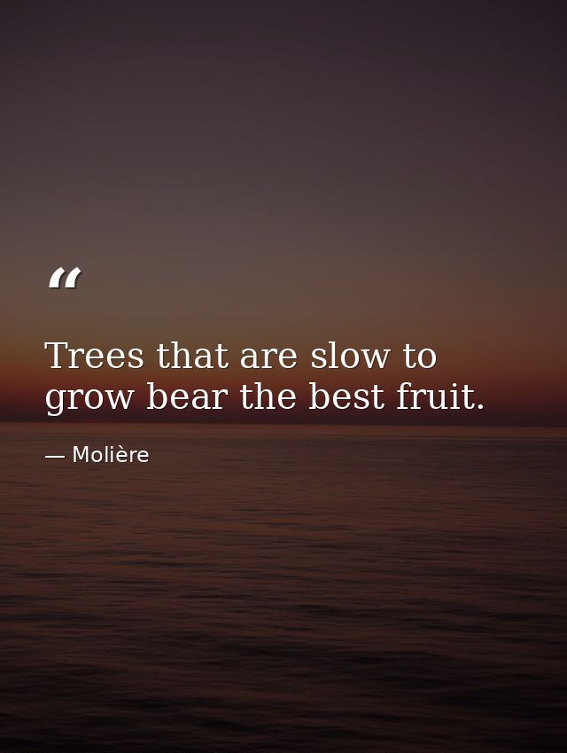 Trees that are slow to grow bear the best fruit. — Molière