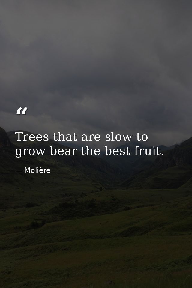 Trees that are slow to grow bear the best fruit. — Molière