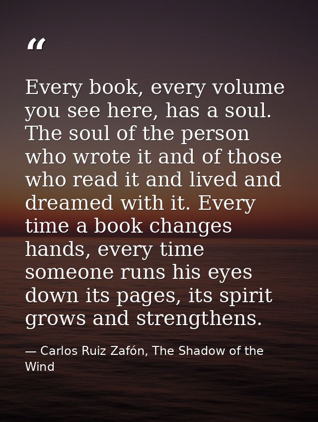 Every book, every volume you see here, has a soul. The soul of the person who wrote it and of those who read it and live — Carlos Ruiz Zafón, The Shadow of the Wind