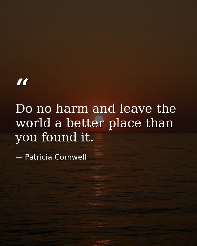 Do no harm and leave the world a better place than you found it. — Patricia Cornwell