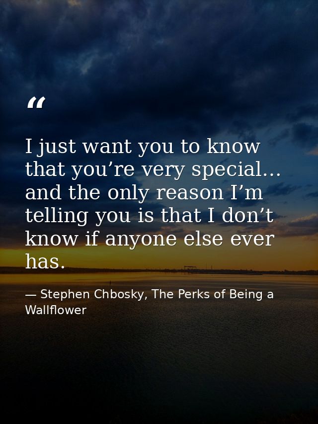 I just want you to know that you’re very special… and the only reason I’m telling you is that I don’t know if anyone els — Stephen Chbosky, The Perks of Being a Wallflower