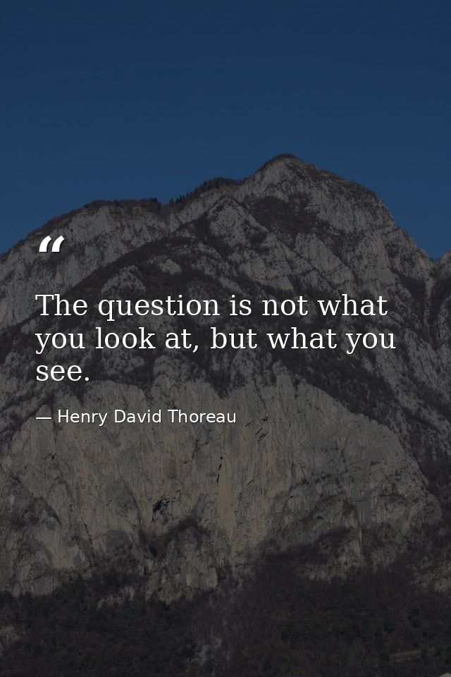 The question is not what you look at, but what you see. — Henry David Thoreau
