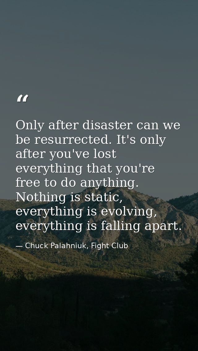 Only after disaster can we be resurrected. It's only after you've lost everything that you're free to do anything. Nothi — Chuck Palahniuk, Fight Club