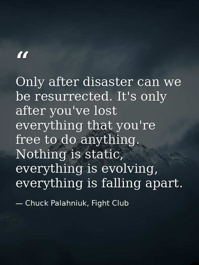 Only after disaster can we be resurrected. It's only after you've lost everything that you're free to do anything. Nothi — Chuck Palahniuk, Fight Club