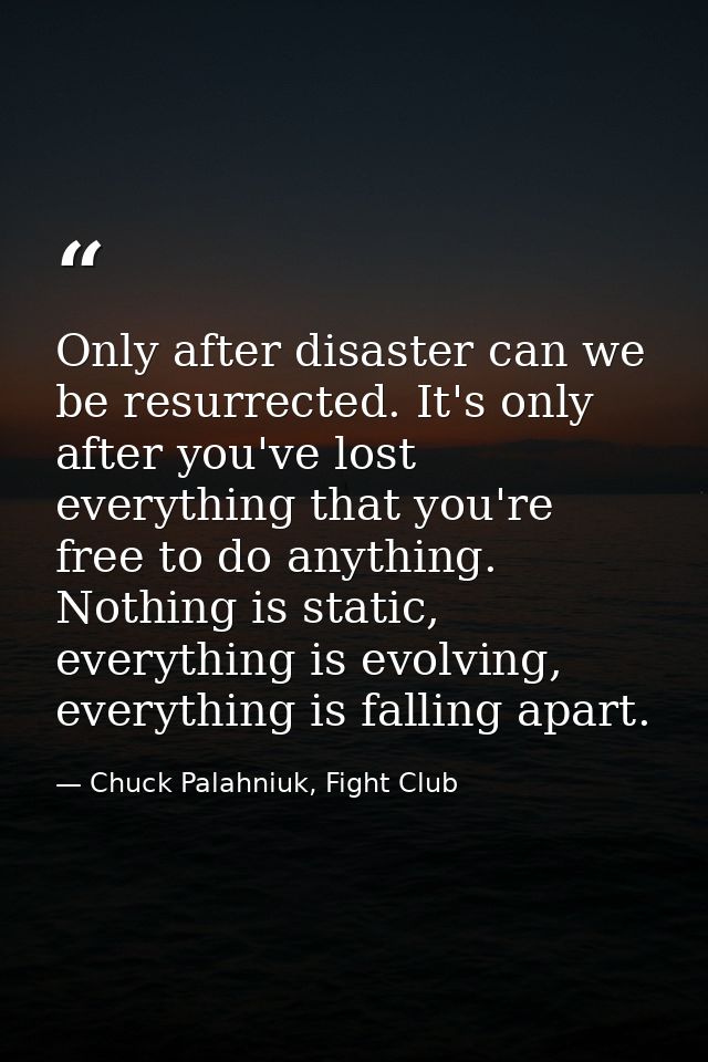 Only after disaster can we be resurrected. It's only after you've lost everything that you're free to do anything. Nothi — Chuck Palahniuk, Fight Club