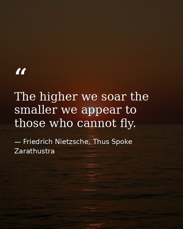 The higher we soar the smaller we appear to those who cannot fly. — Friedrich Nietzsche, Thus Spoke Zarathustra